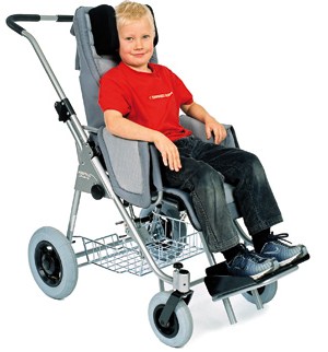 Buggy Integral y Funcional MAX ( Peque�a)